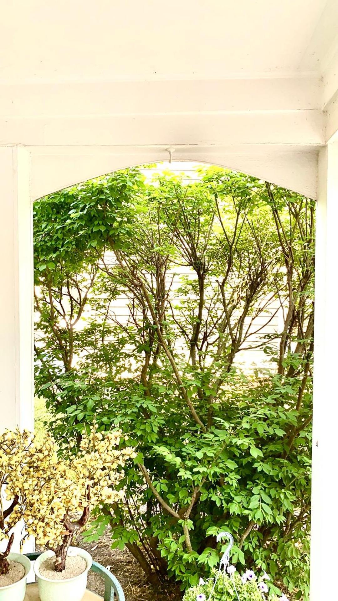 B3 A Private Room In Naperville Downtown With Desk And Wi-Fi Near Everything المظهر الخارجي الصورة